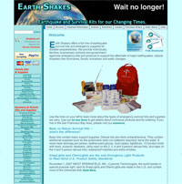 Ecommerce site.