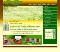 Ecommerce site.